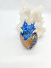Dragon Hatchling