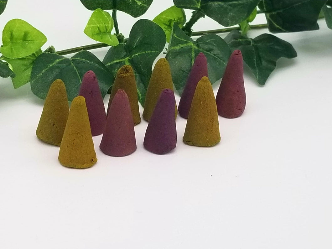 Fruity Cone Incense (Variety)