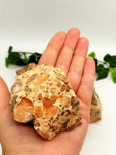 Leopard Skin Jasper/Leopardite Raw