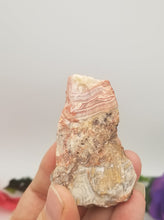 Crazy Lace Agate Raw