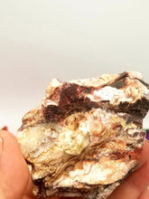 Crazy Lace Agate Raw
