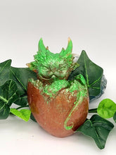 Dragon Hatchling