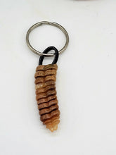 Rattle Snake Key Chains