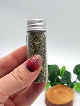 Hyssop Cut (Hyssopus officinalis)