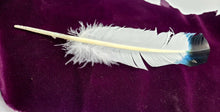 White & Black Turkey Feather Dyed