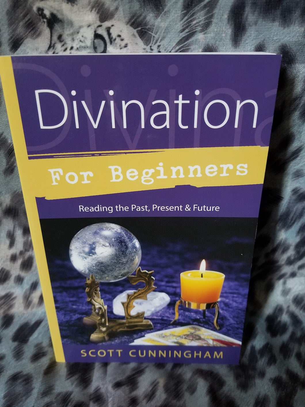 Divination For Beginner's