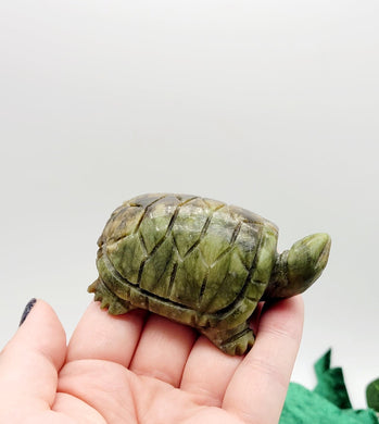 Chinese Jade Turtle