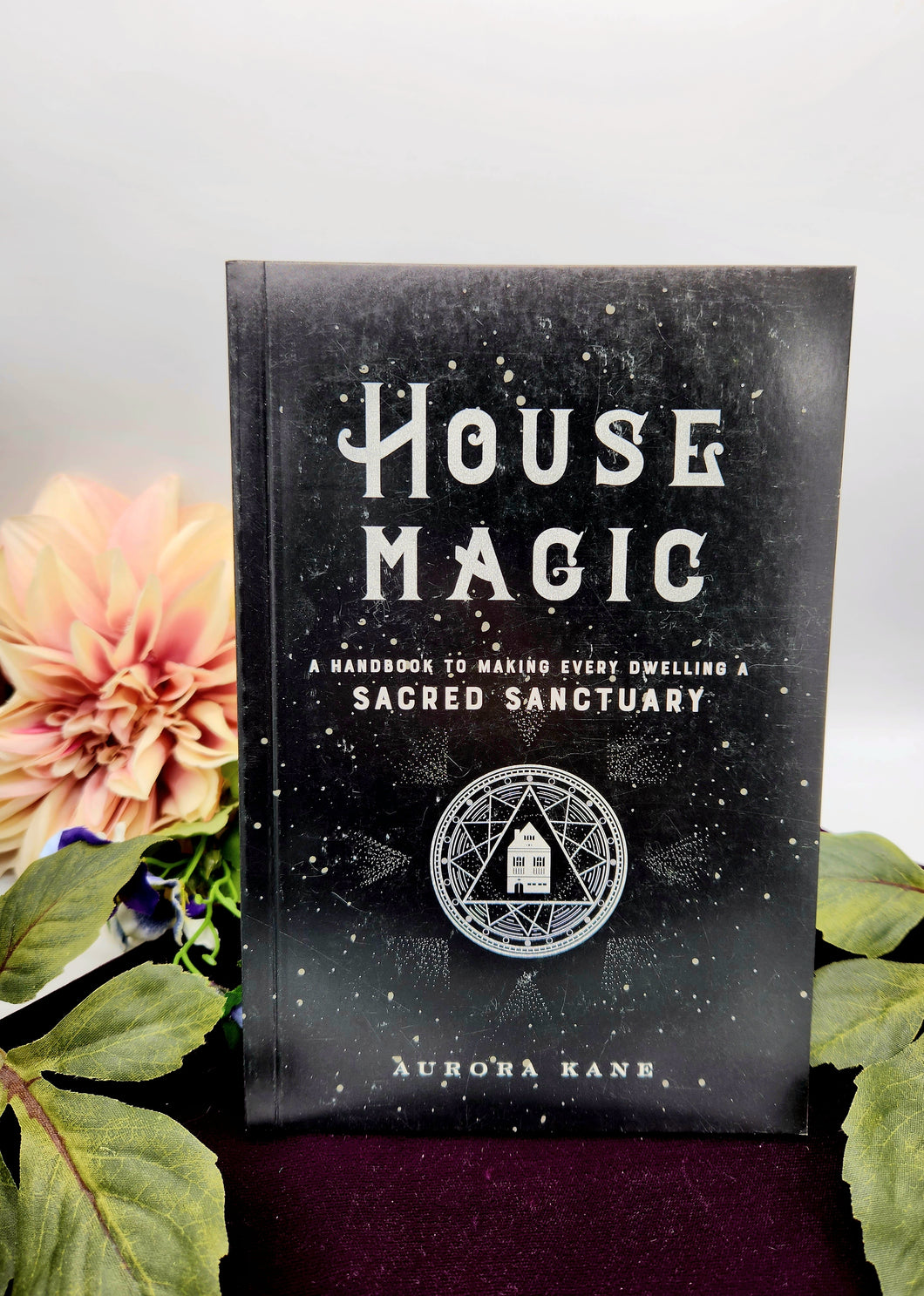 House Magic By Aurora Kane