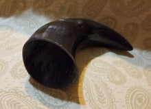 Open Ended Ceremonial Horn
