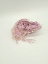 Crystal Frog (Resin)