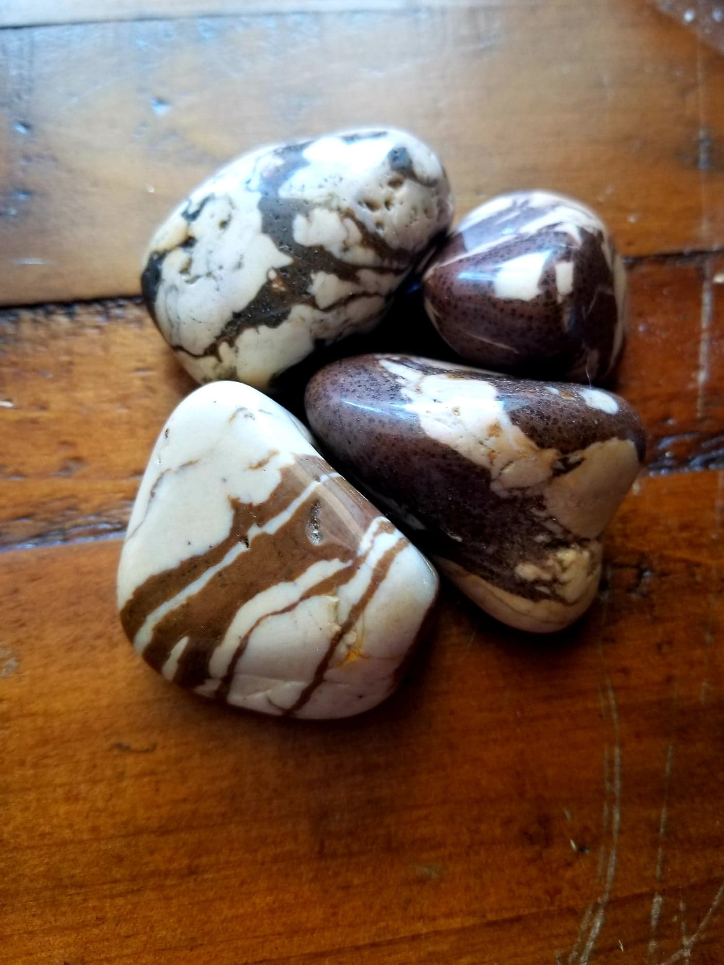 Brown Zebra Jasper Polished Enchanted Genie LLC