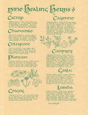 9 Healing Herbs Poster