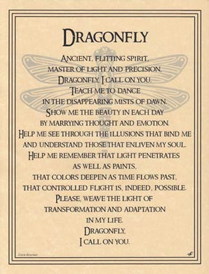 Dragonfly Totem Animal Poster