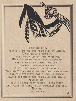 Mantis Totem Prayer Posters